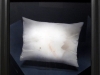 Lincoln's Pillow