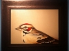 Herb Smith, "Lark Sparrow" 2014, oil on panel