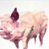 A Peculiar Nature Tawan Wattuya Pig Lodge Gallery New York