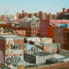 The Outer Boroughs: Brooklyn, Queens & The Bronx Laura Shechter